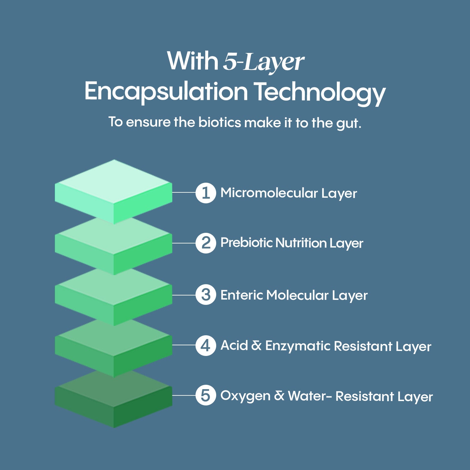 5-layer encapsulation technology to ensure the biotics make it to the gut.
