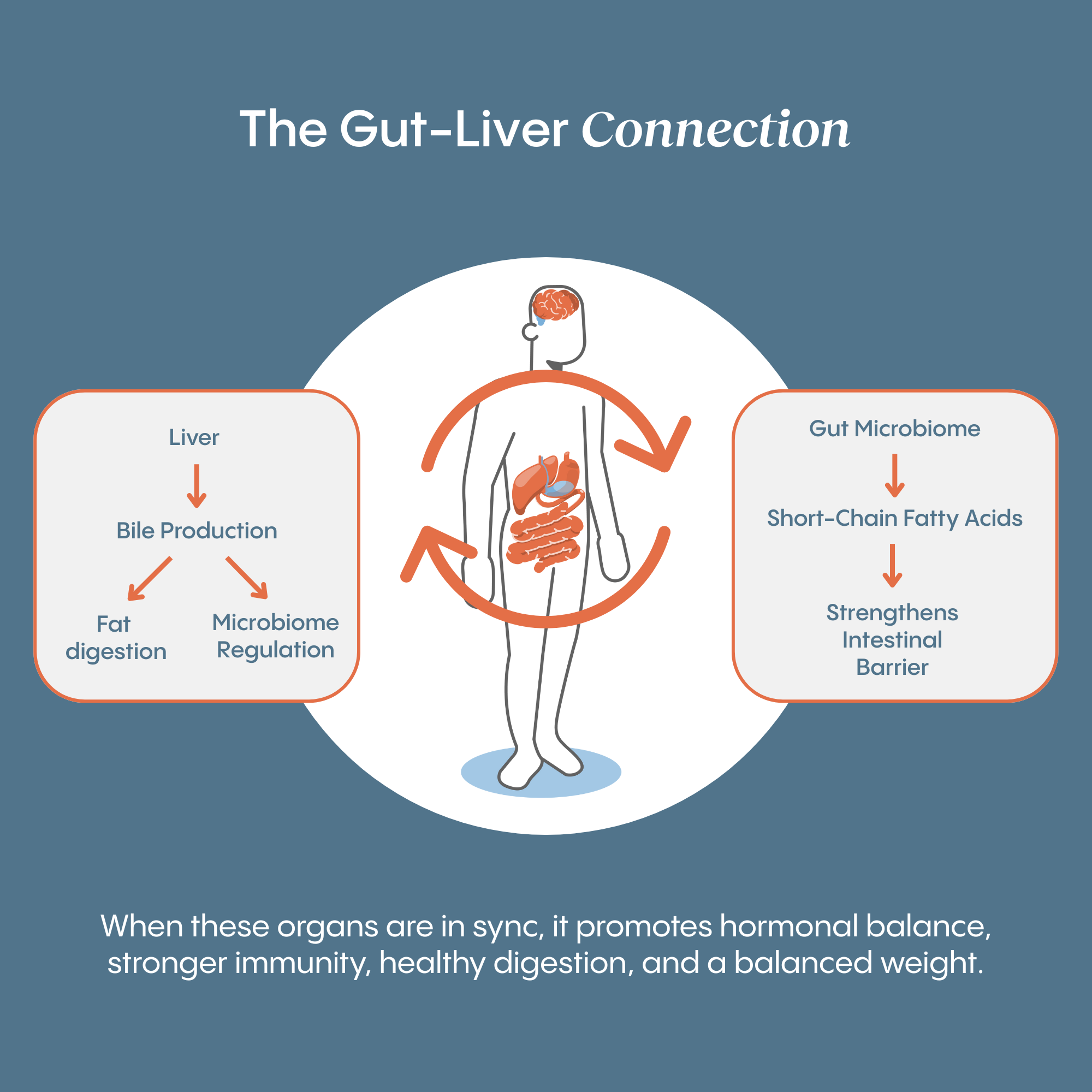 Metabolic Balance Bundle